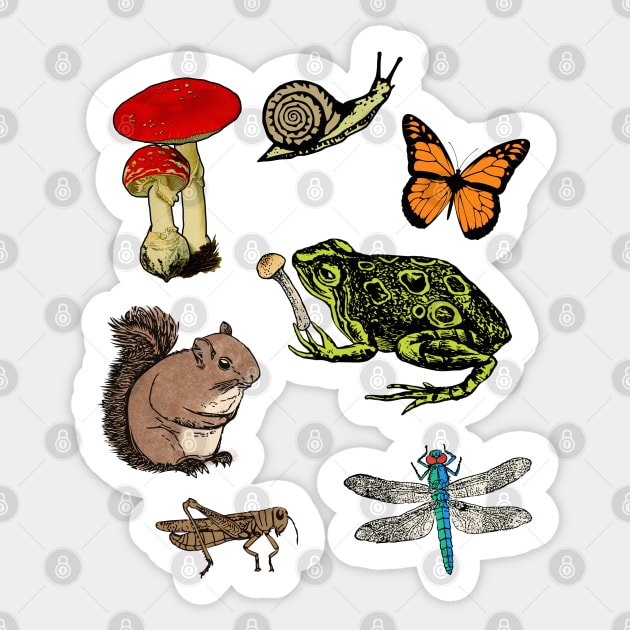 Forrest Creatures Cute Woodland Animals Nature Hiking Frog Squirrel Mushroom Butterfly Dragonfly Cricket Snail Sticker by blueversion